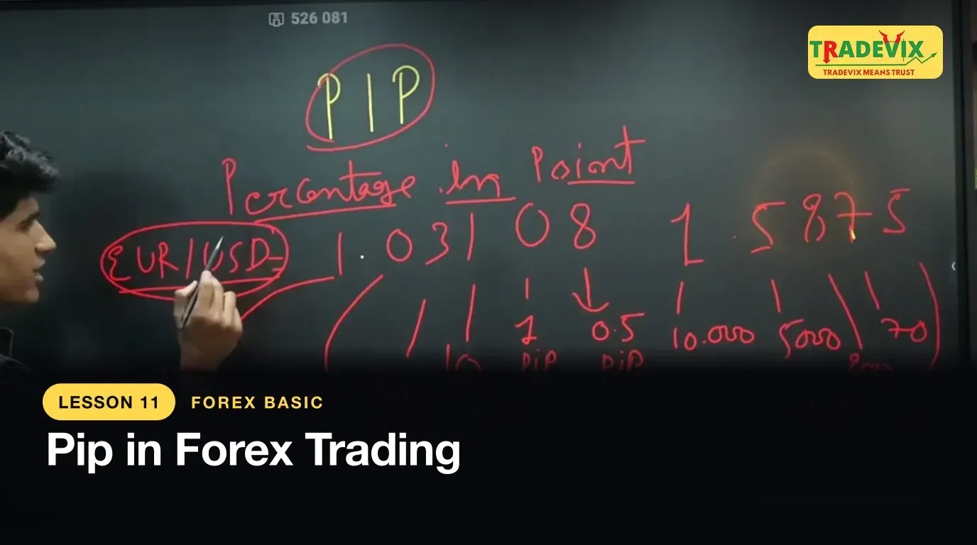 Pip in Forex Trading — lesson thumbnail