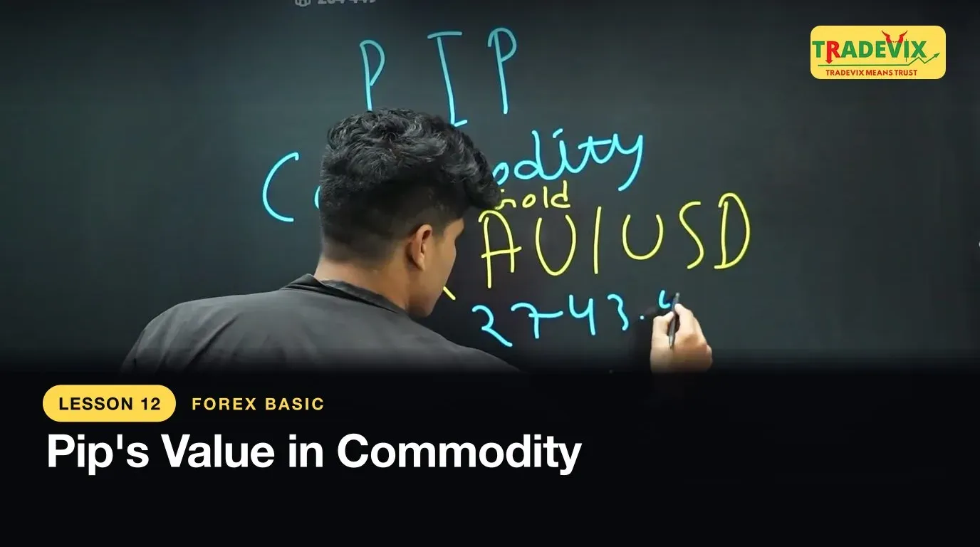Pip's Value in Commodity — lesson thumbnail