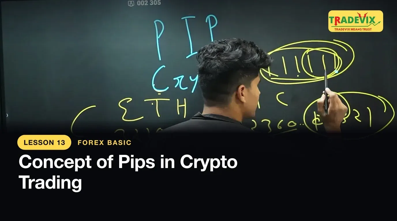 Concept of Pips in Crypto Trading — lesson thumbnail