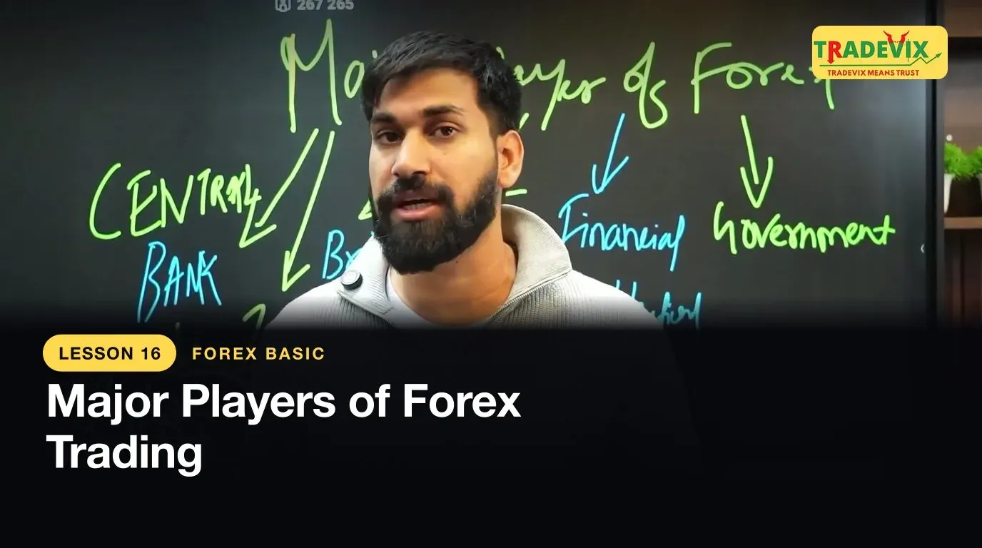 Major Players of Forex Trading — lesson thumbnail